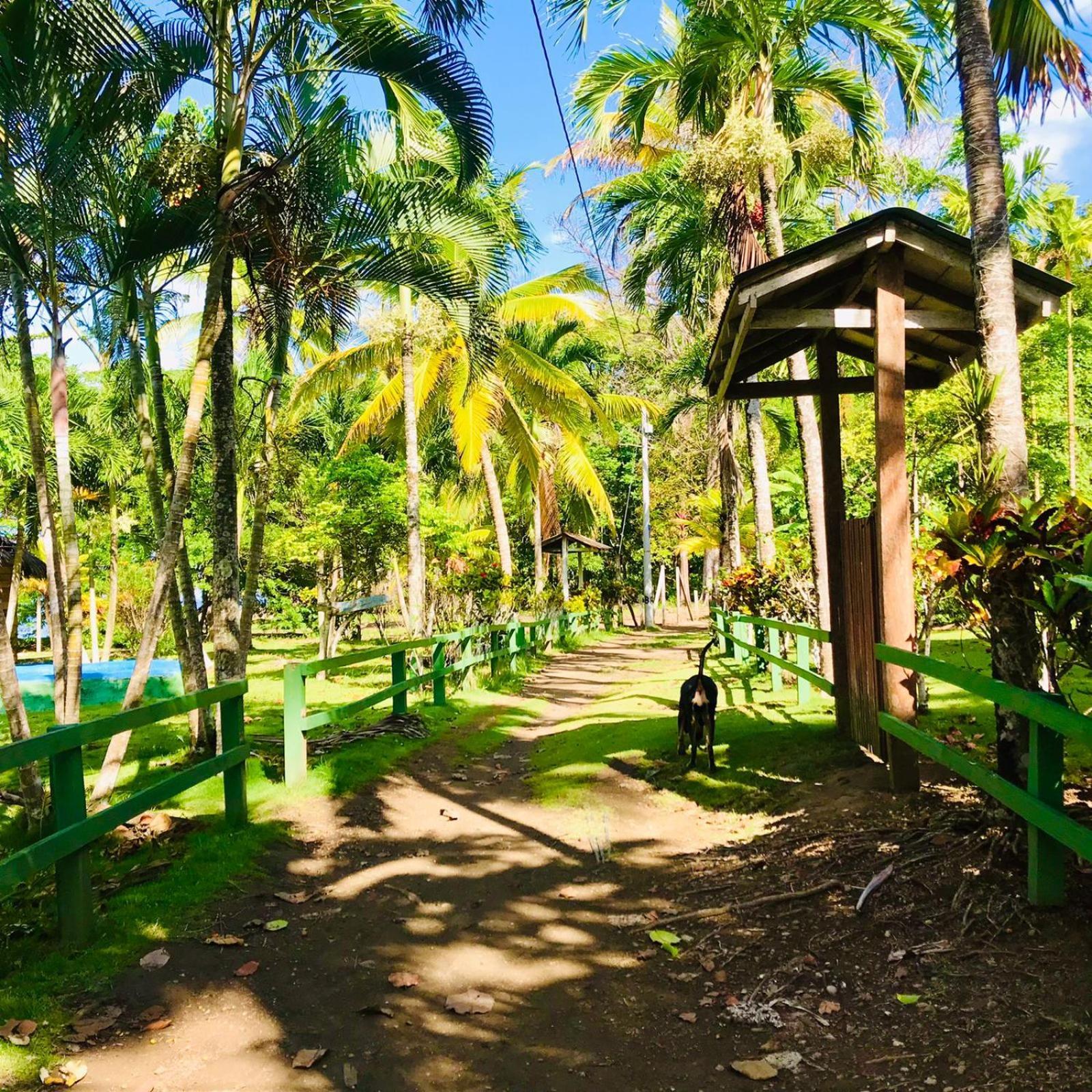 Hostal Doble Vista Capurganá 外观 照片