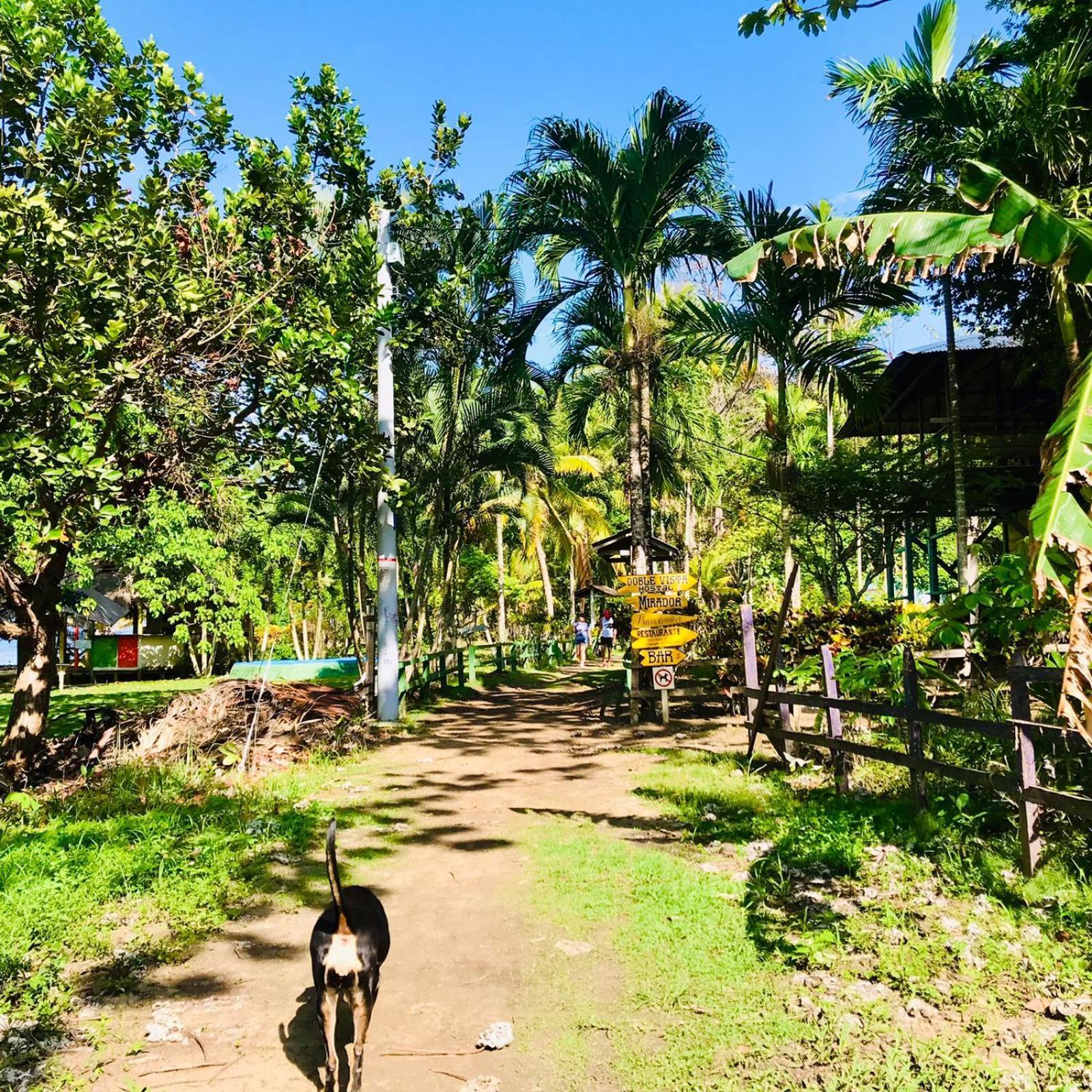 Hostal Doble Vista Capurganá 外观 照片